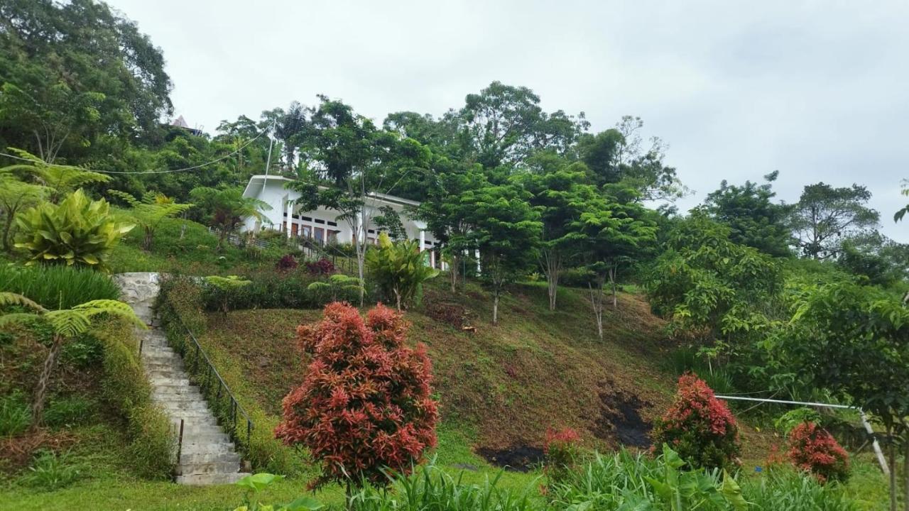 Filomena Lodge 엔데 외부 사진